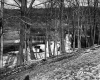 Hammond Farmstead