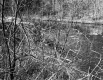 Springfield Terminal Railway Company, View of River