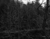 Hazelton Property, View of River