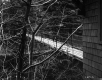 Hazelton Property, Foot Bridge