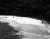 Hazelton Property, Field and Forest