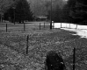Hazelton House and Fenced Fields