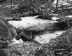 Fisher Property, Spring