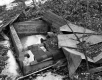 Woodbury Property, Spring