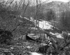 Woodbury Property, Forested Hills