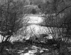 Woodbury Property, Icy River
