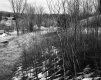 Woodbury Property, View of Buildings through Trees