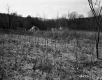 Woodbury Property, Grassy Field and Rooftops