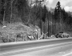 Carlson Property, Forested Hills