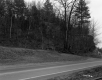 Howe Property, Forested Hill