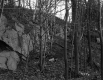 Howe Property, Outcrops in Forest