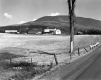 Daley Farmstead
