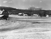 Daley Farmstead