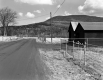 Edward Daley Property, Barns and Farm Fields