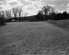 Edward Daley Property, Open Field