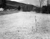 Edward Daley Property, Open Field