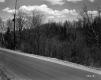 Gorman Property, Forest along Highway