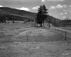 Gorman Property, Farm Fields