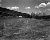 Gorman Property, Farm Fields