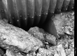 Culvert Construction