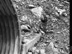 Culvert Construction