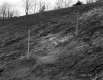 Slopes on I-91