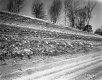 Slopes on I-91