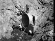 Culvert Construction