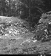 Bridge Construction in Middlesex