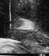 Bridge Construction in Middlesex