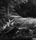 Bridge Construction in Middlesex