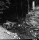 Bridge Construction in Middlesex