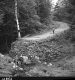 Bridge Construction in Middlesex