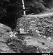 Bridge Construction in Middlesex