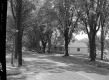 South Winooski Avenue at Spruce Street, Looking South