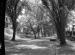 South Winooski Avenue, Looking South