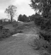 Crude Wood Bridge over Creek in Berkshire