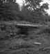 Crude Wood Bridge over Creek in Berkshire