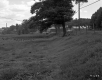 Dairy Farm at Brattleboro Retreat