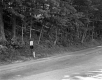 Forest along Route 30 at Brattleboro Retreat