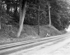 Forest along Route 30 at Brattleboro Retreat