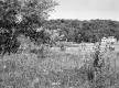 White River Drive-In Marquee