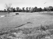 Sanders Property, Farm Fields