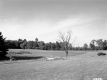 White Property, Farm Fields