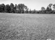 White Property, Farm Fields