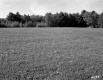 White Property, Farm Fields