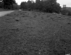 Brown Property, Field and Farm Building