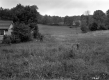 Brown Property, Farm Fields