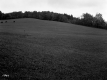 Brown Property, Farm Fields