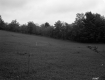 Brown Property, Farm Fields